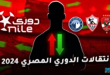 جميع انتقالات يناير 2025 في الدوري المصري