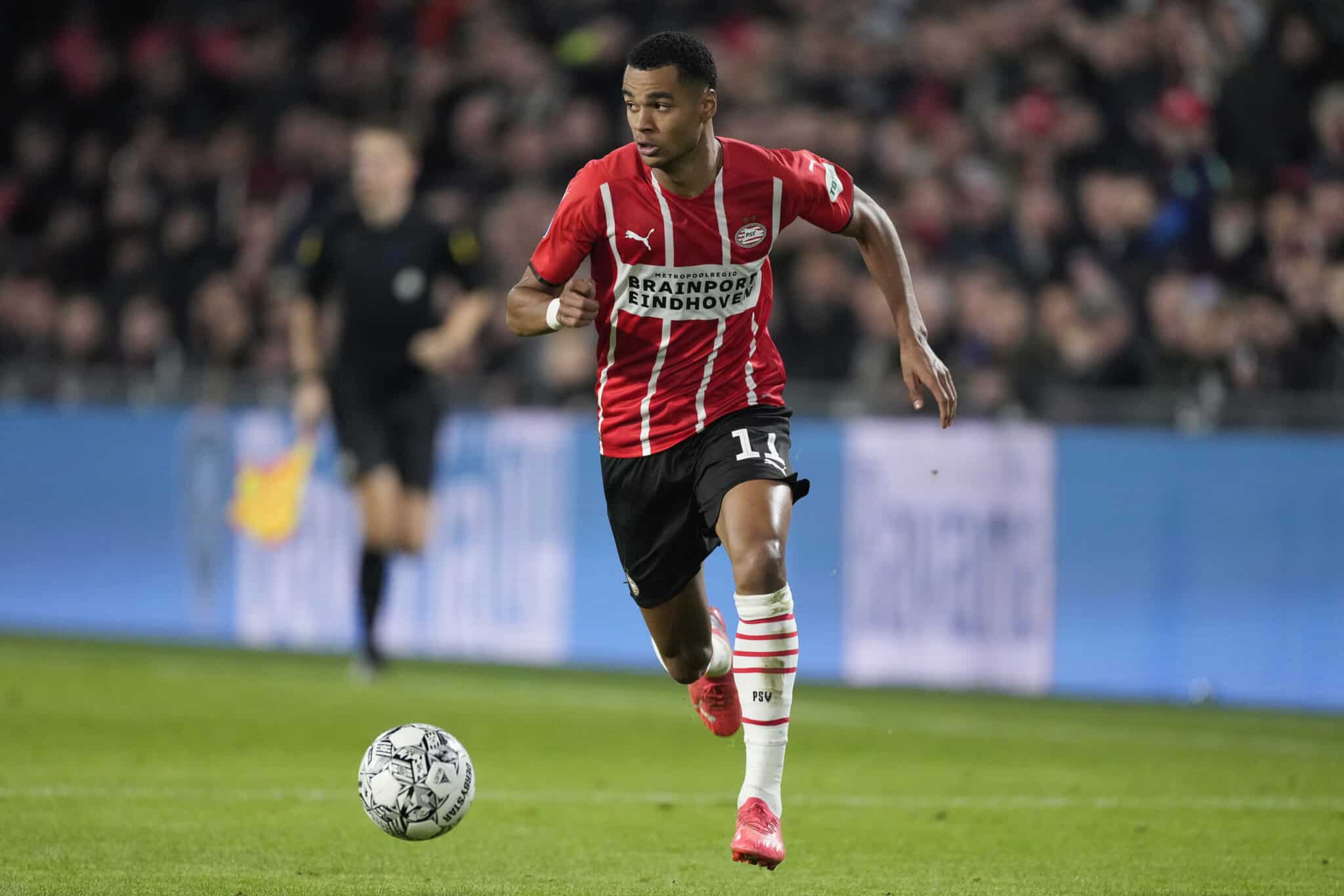 Cody Gakpo es, hasta ahora, la gran figura del PSV en la Eredivisie.