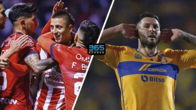 Chivas vs Tigres pronosticos 365