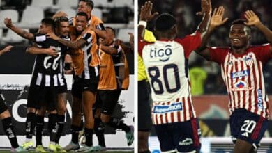 Botafogo vs. Junior Copa Libertadores 2024