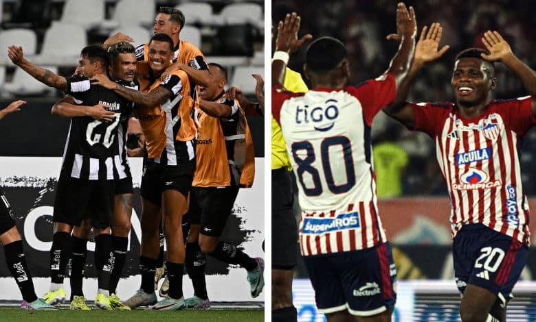 Botafogo vs. Junior Copa Libertadores 2024