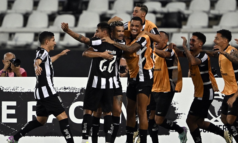 Botafogo vs. Junior Copa Libertadores 2024