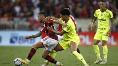 Palmeiras vs. Flamengo