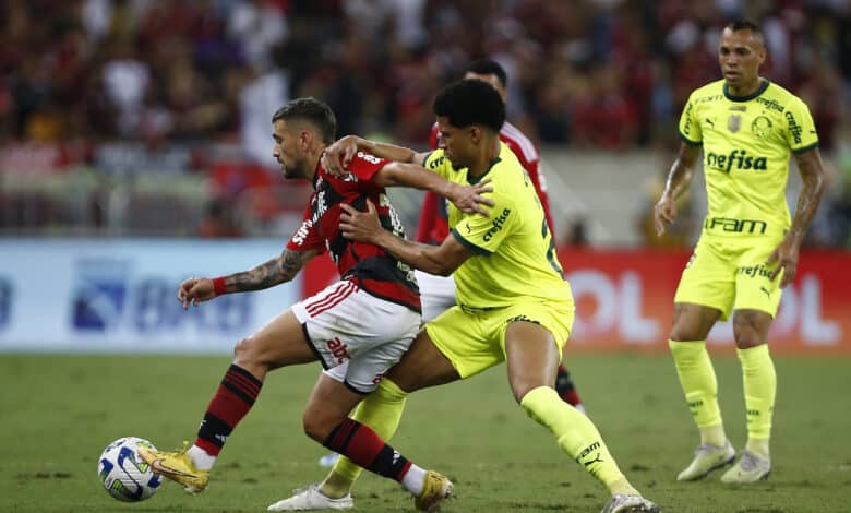 Palmeiras vs. Flamengo