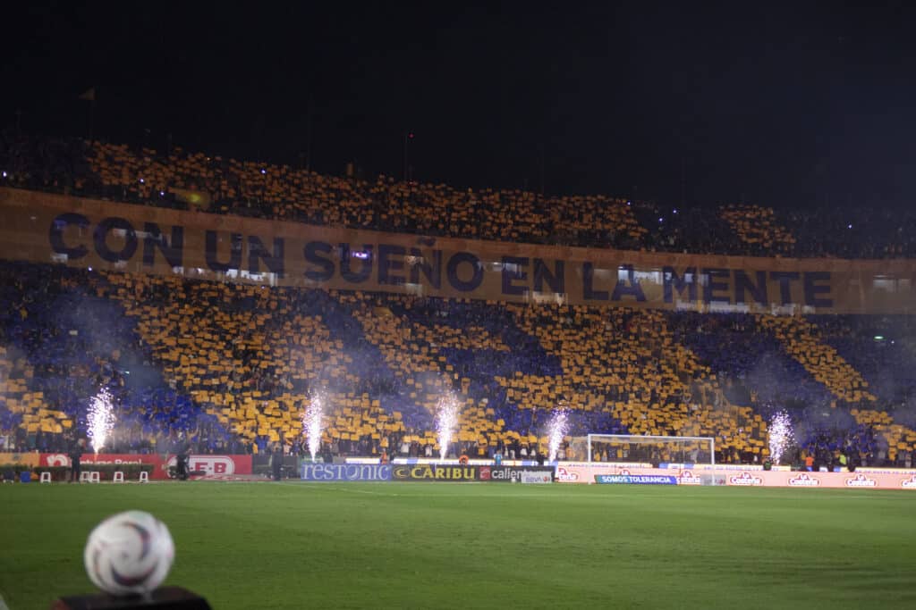 Tigres entrenadores estadio universitario el volcan liga mx apertura 2024 Veljko Paunović