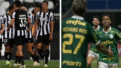 Botafogo vs. Palmeiras por la Copa Libertadores 2024