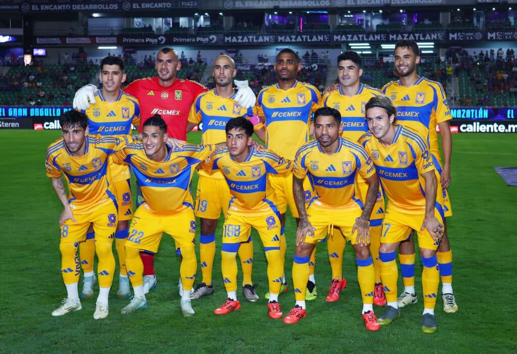 Tigres en el AP 2024.