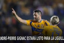 Tigres en la Liguilla del AP 2024