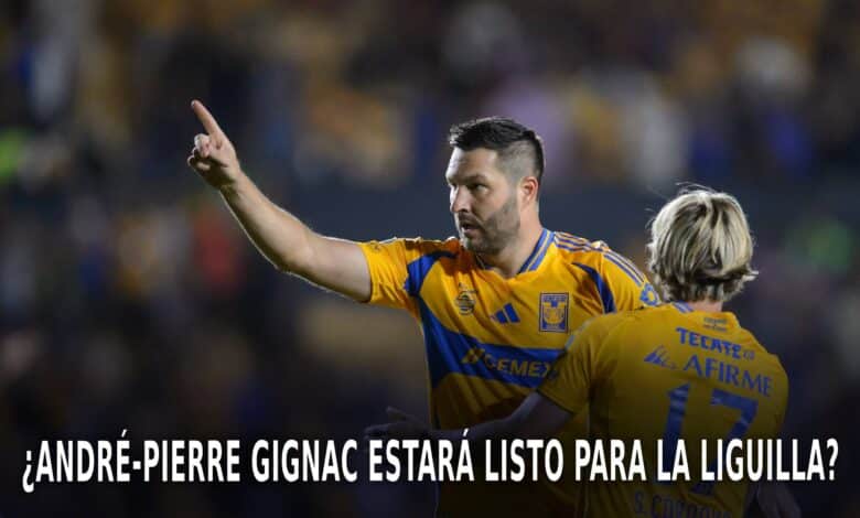 Tigres en la Liguilla del AP 2024