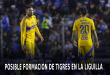 Tigres en la Liguilla del AP 2024