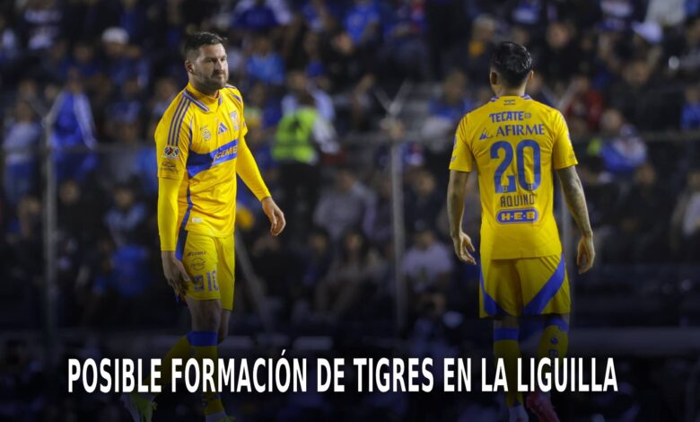 Tigres en la Liguilla del AP 2024