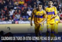 Tigres en el AP 2024