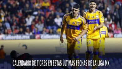 Tigres en el AP 2024