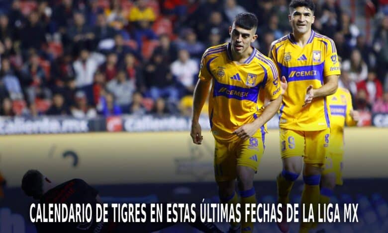 Tigres en el AP 2024