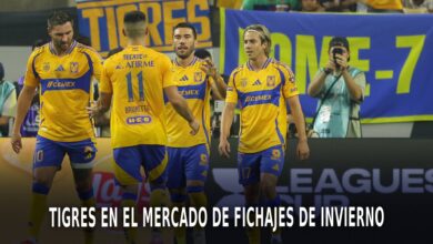 Tigres en el mercado de fichajes de invierno.