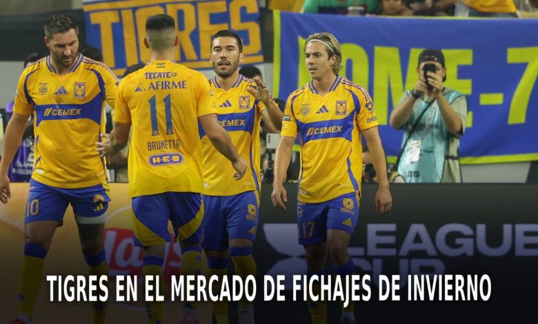 Tigres en el mercado de fichajes de invierno.