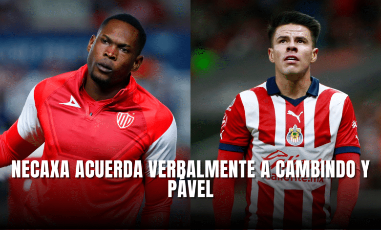 Necaxa acuerda verbalmente a Cambindo y Pavel