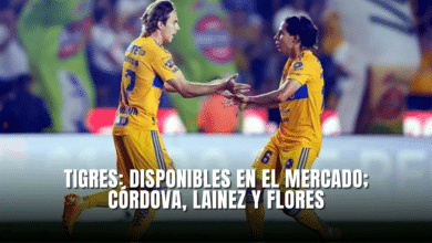 Tigres: Disponibles en el Mercado; Córdova, Lainez y Flores