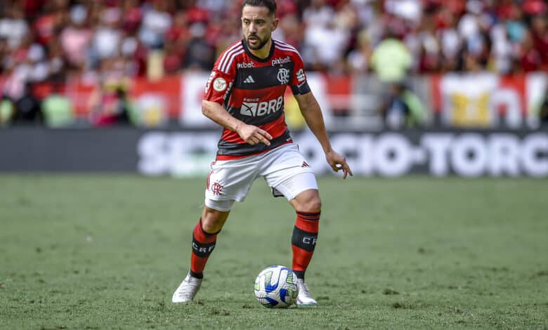 Everton Ribeiro, Flamengo