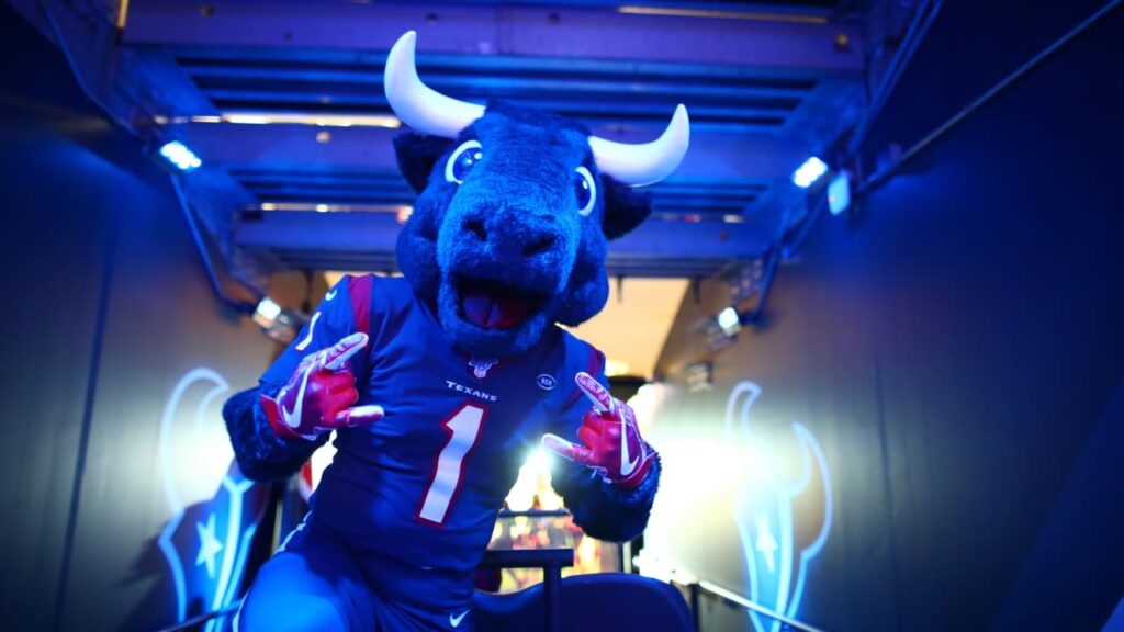 Toro, mascote do Houston Texans