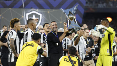 Botafogo campeão do Brasileirão 2024